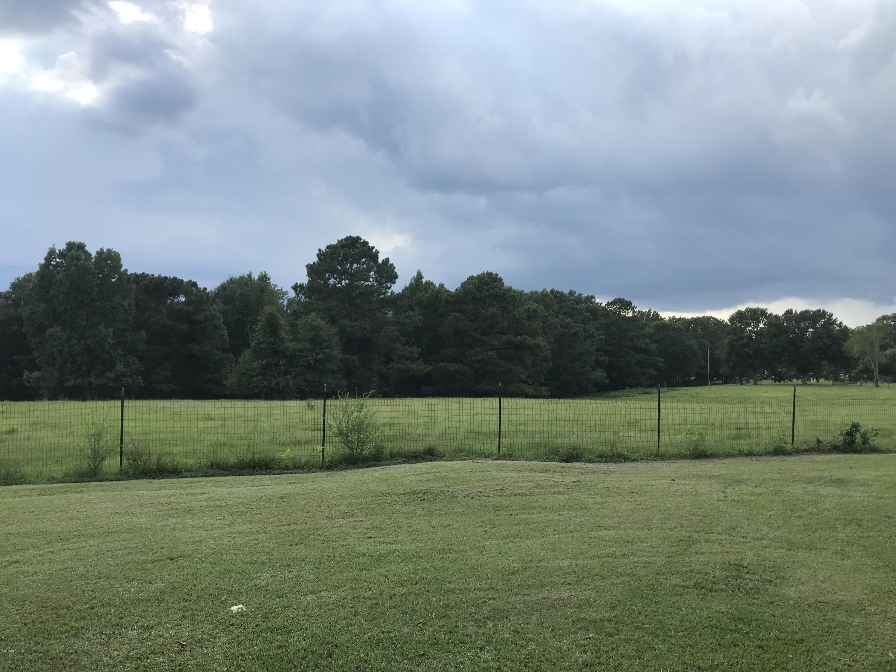 134 Riley Boone Road Carriere, MS 39426 - Photo 10 of 22 IMG_6615