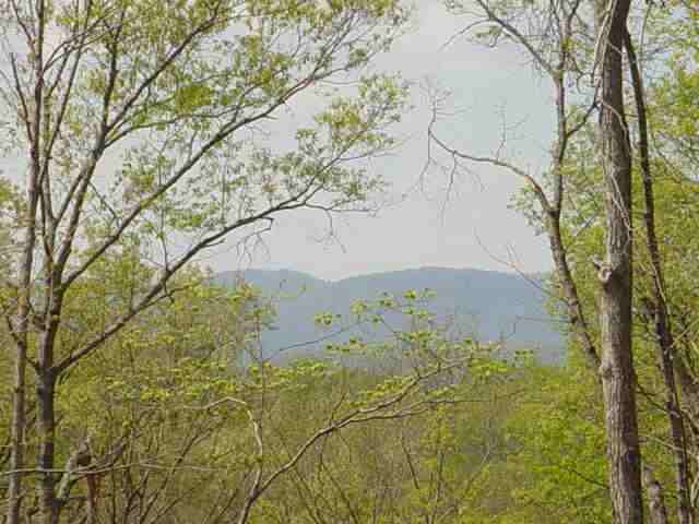 D Sweet Gum Valley Road Travelers Rest, SC 29690 - Photo 1 of 3 Gallery Image 1