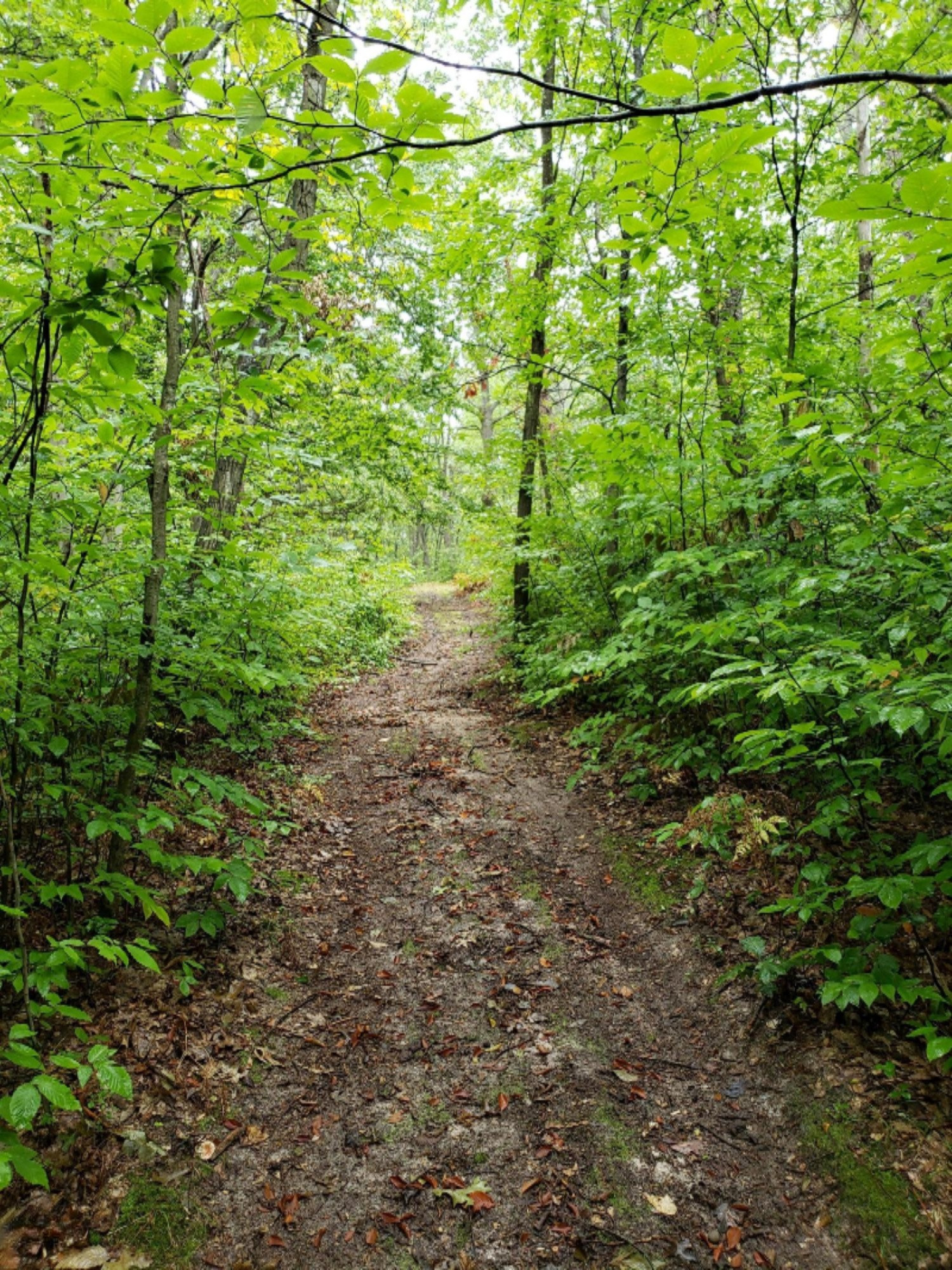 1926 South Deer Lake Road Reed City, MI 49677 - Photo 13 of 25 20180930_104359