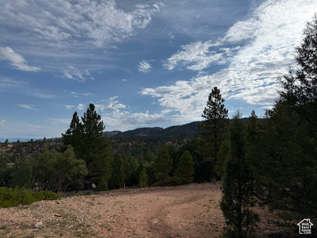 Crest Court Alton, UT 84710 - Photo 12 of 17 Mountain view featuring a forest