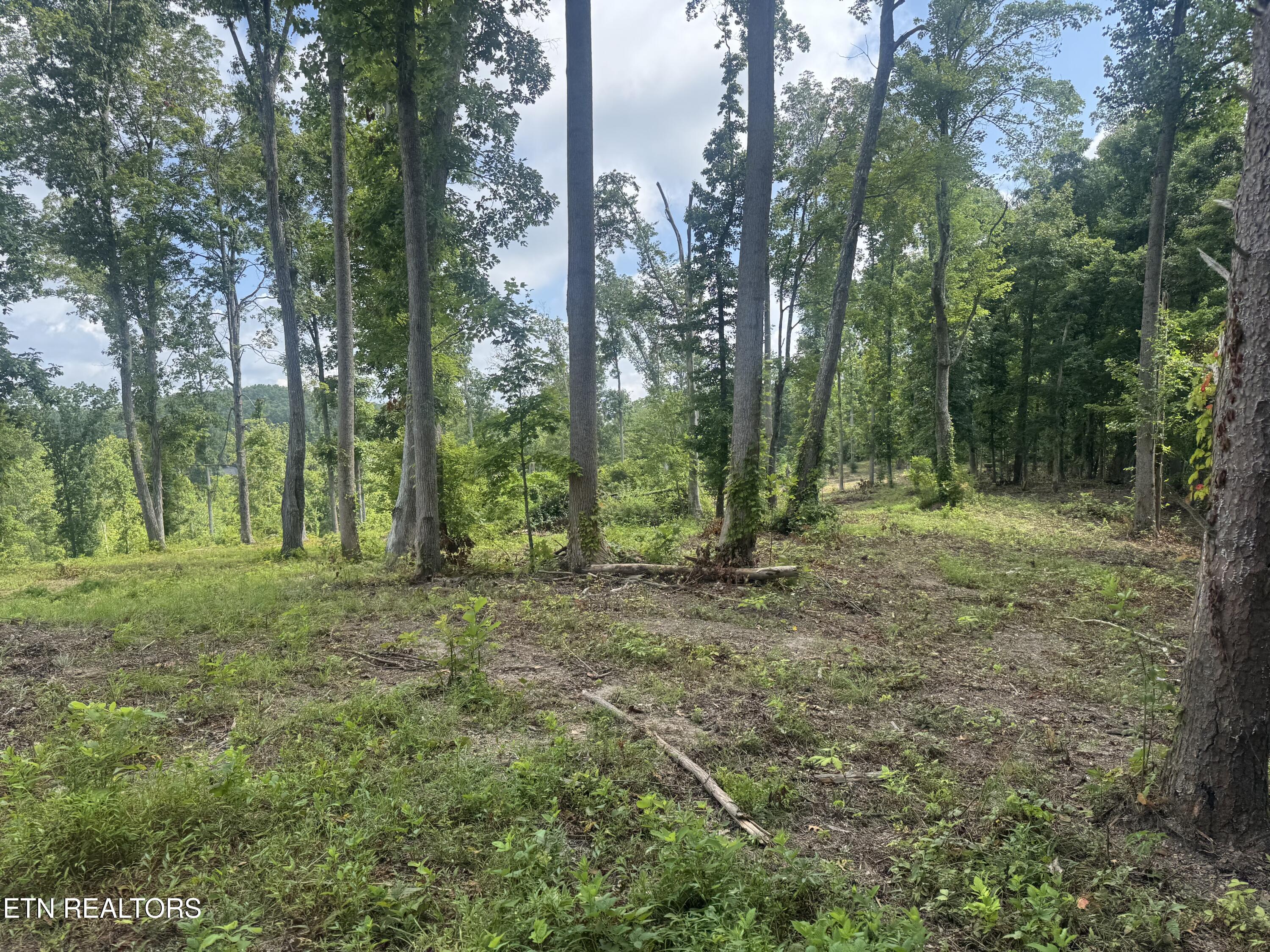 2 Mill Creek Road Andersonville, TN 37705 - Photo 15 of 29 IMG_0950