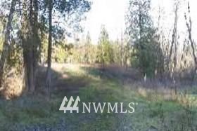 L1 Banner Road Castle Rock, WA 98611 - Photo 1 of 1 Gallery Image 1