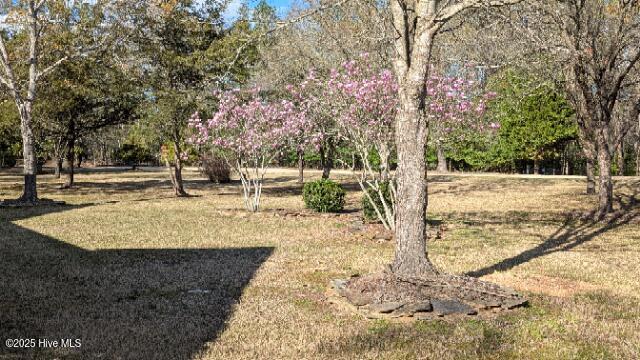 106 Palomino Road Carthage, NC 28327 - Photo 38 of 48 BEAUTIFUL PROPERTY
