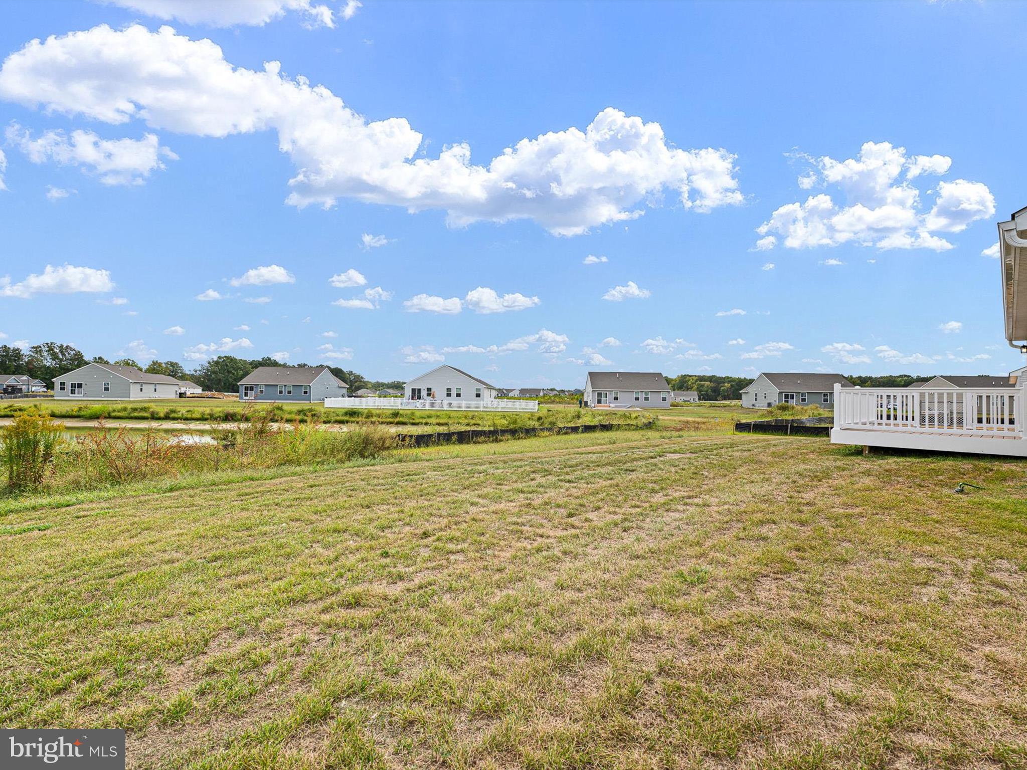 258 Alezach Drive Dover, DE 19901 - Photo 35 of 40 Rear Lawn and Grounds