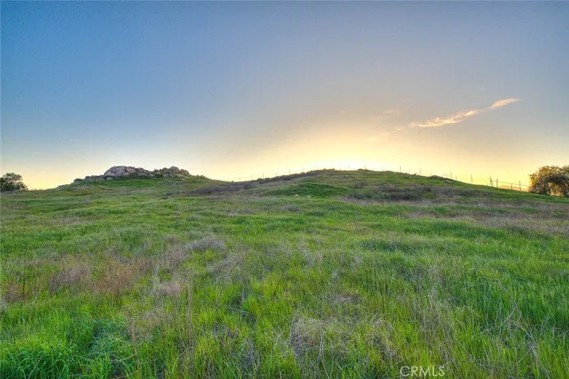 a view of a lush green space with sea