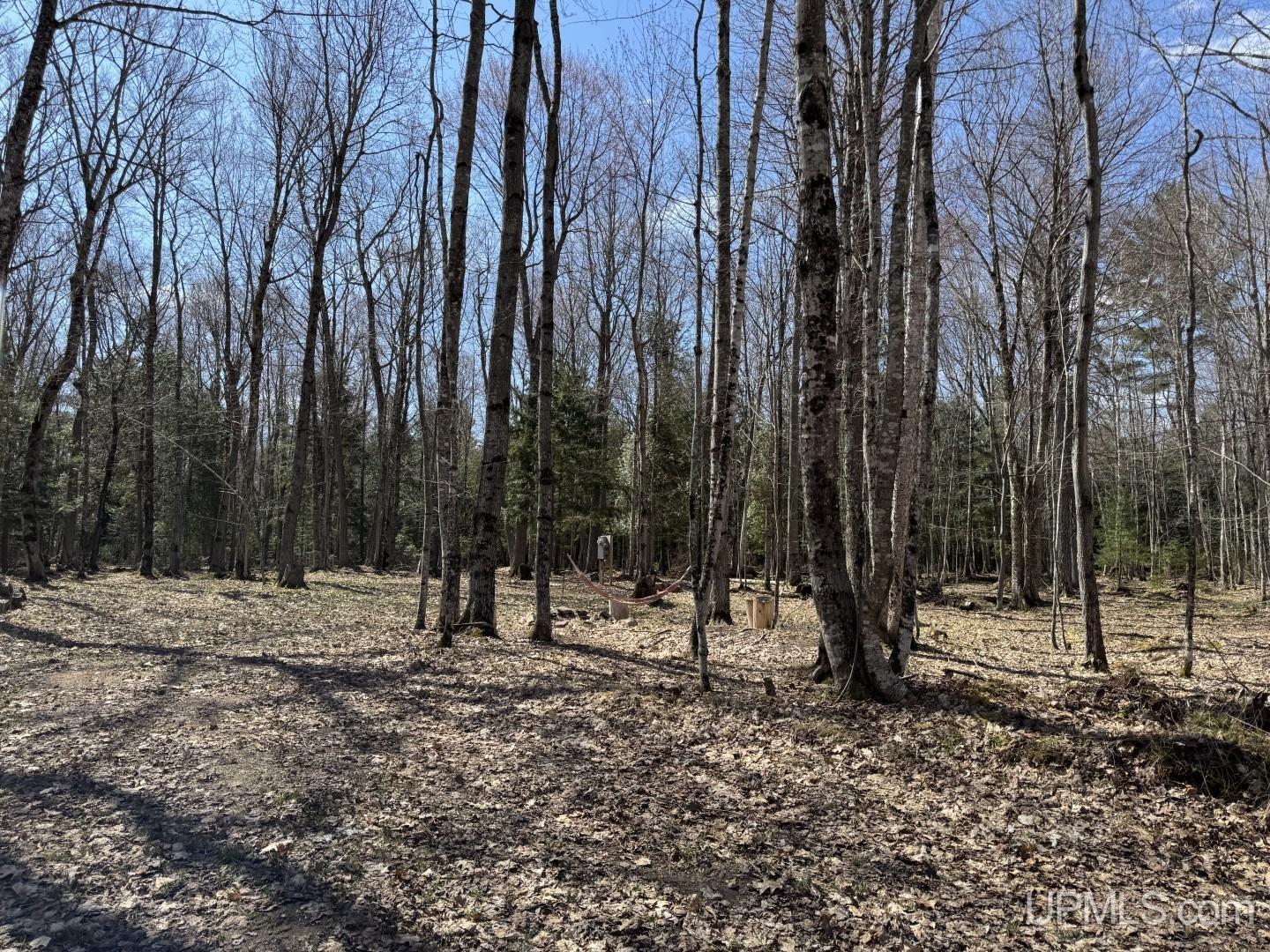 13955 Rock Beach Road Lanse, MI 49946 - Photo 13 of 15