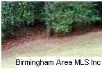 2069 Lancaster Road, Unit 2069 Birmingham, AL 35209 - Photo 23 of 24
