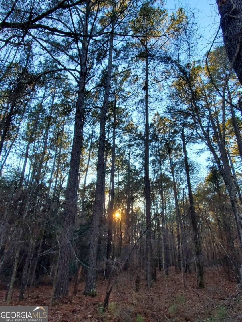 0 Mark Wood Road Dexter, GA 31019 - Photo 2 of 8 a sunset view