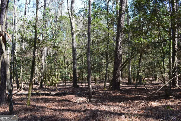 $168,000 | 0 Mark Wood Road, Dexter, GA 31019