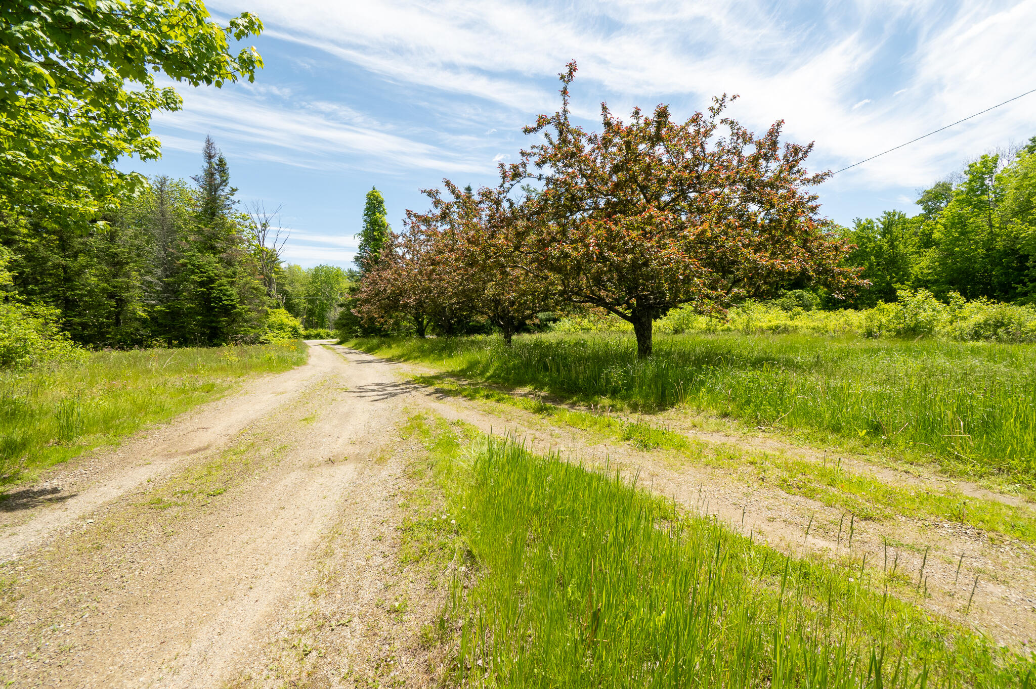 67 Ralph Wink Road Waldoboro, ME 04572 - Photo 16 of 21 waldoboro maine-16