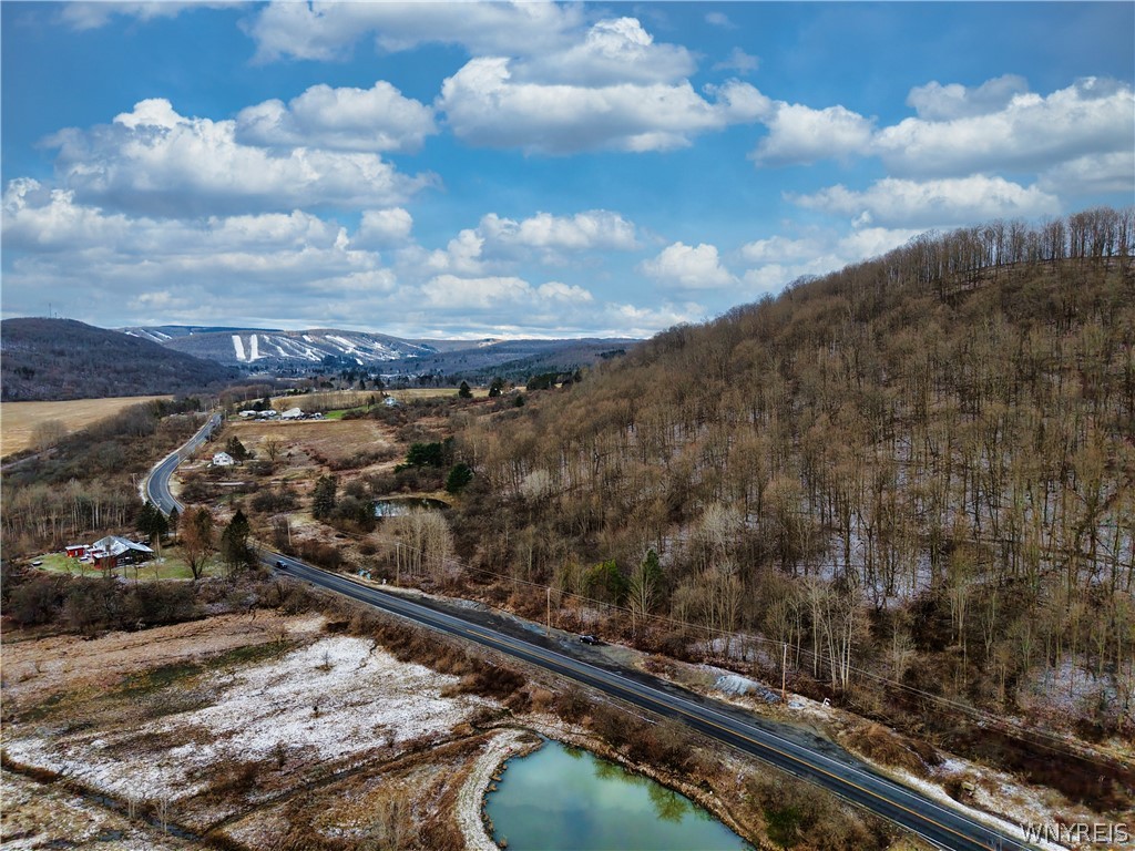 6010 Nys Route Ellicottville, NY 14731 - Photo 2 of 5
