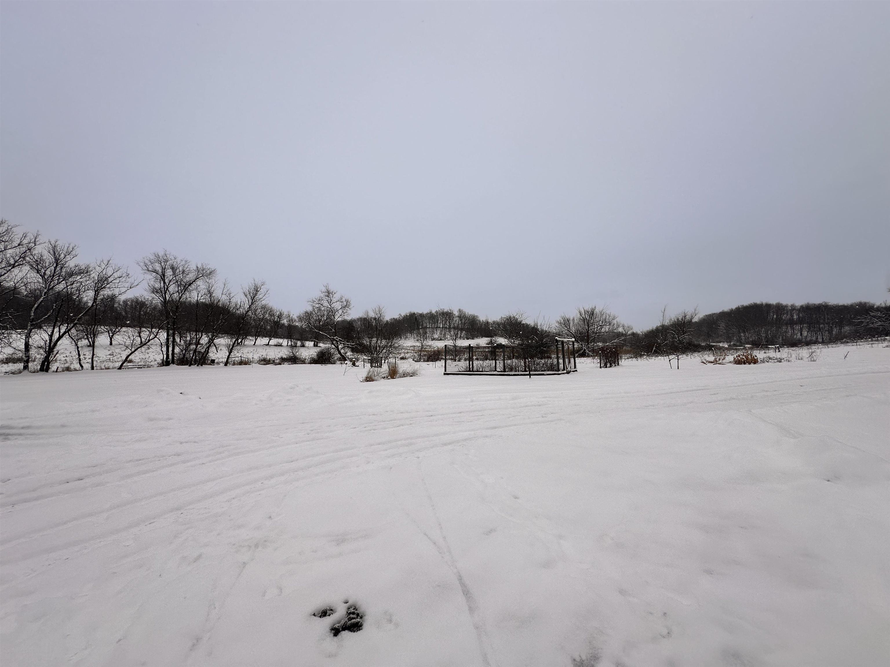 S6720 Eli Valley Road Loganville, WI 53943 - Photo 44 of 60