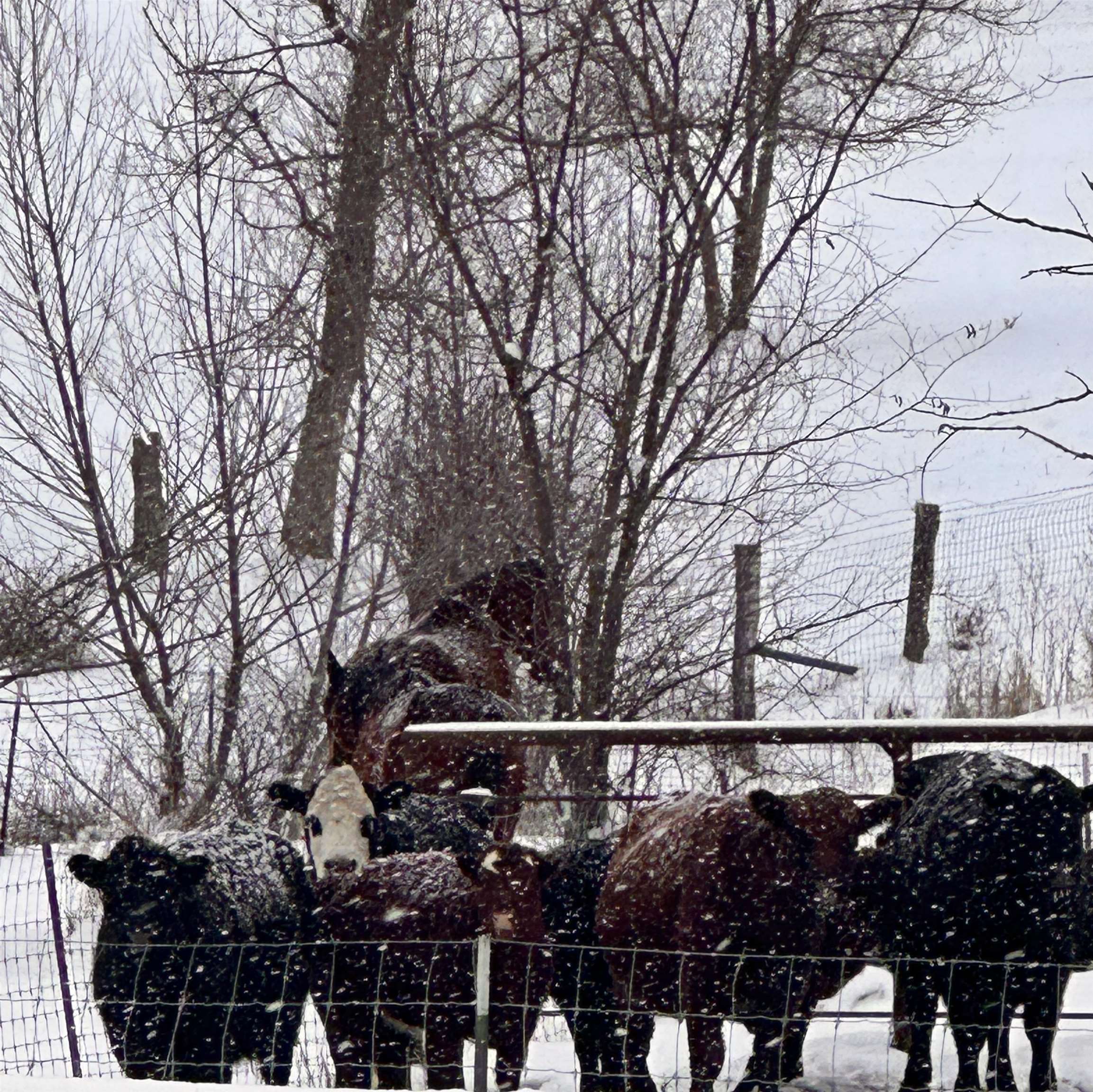 S6720 Eli Valley Road Loganville, WI 53943 - Photo 53 of 60