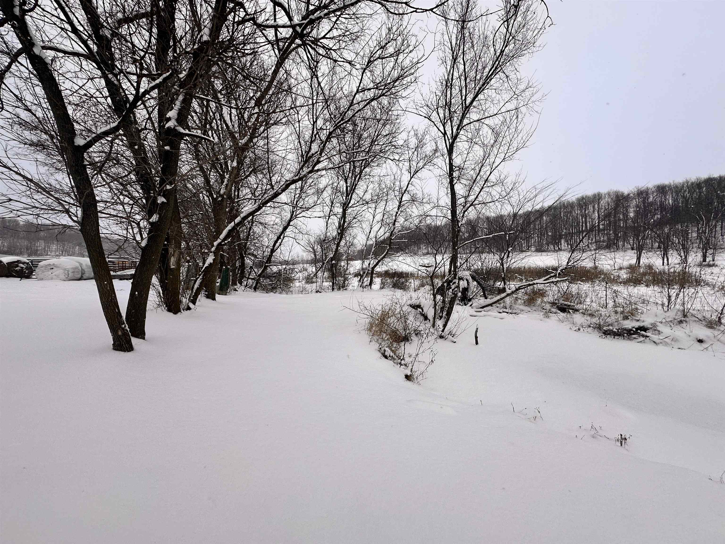 S6720 Eli Valley Road Loganville, WI 53943 - Photo 55 of 60