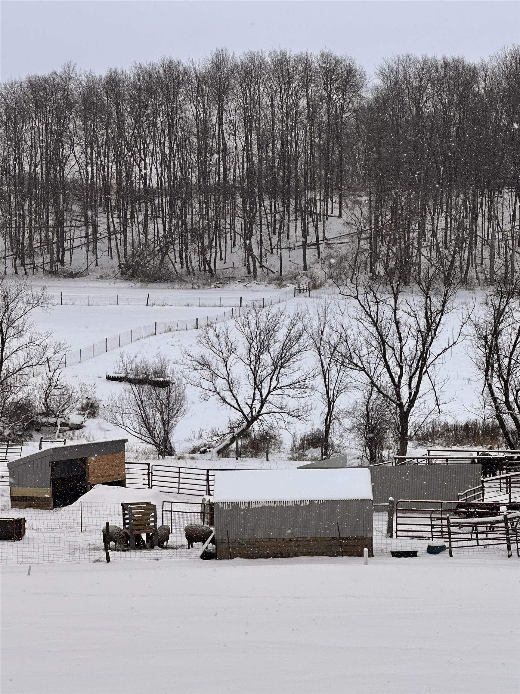 S6720 Eli Valley Road Loganville, WI 53943 - Photo 58 of 60