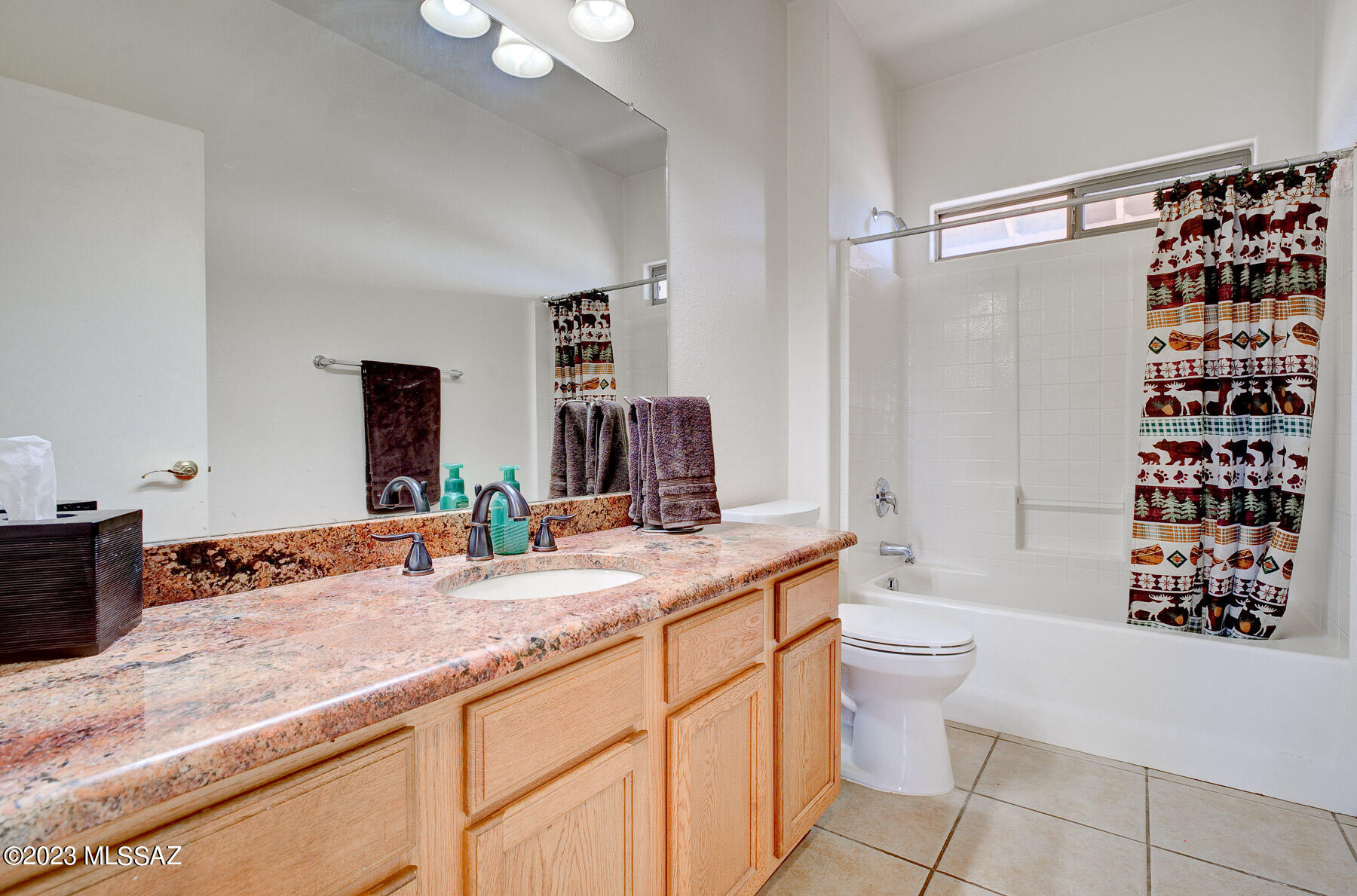 11150 North Derringer Road Marana, AZ 85653 - Photo 21 of 25 Gallery Image 21
