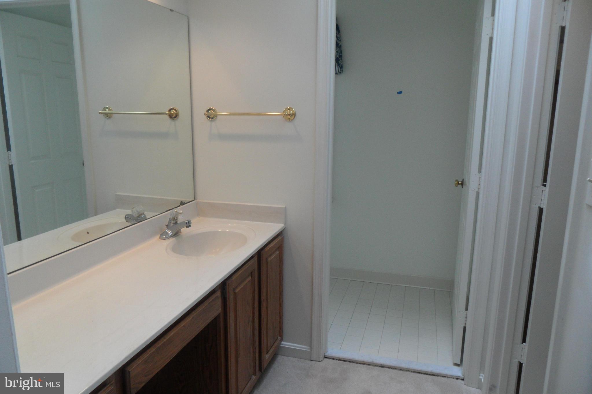 8233 Honeysuckle Road Manassas, VA 20112 - Photo 9 of 17 Bath (Master)