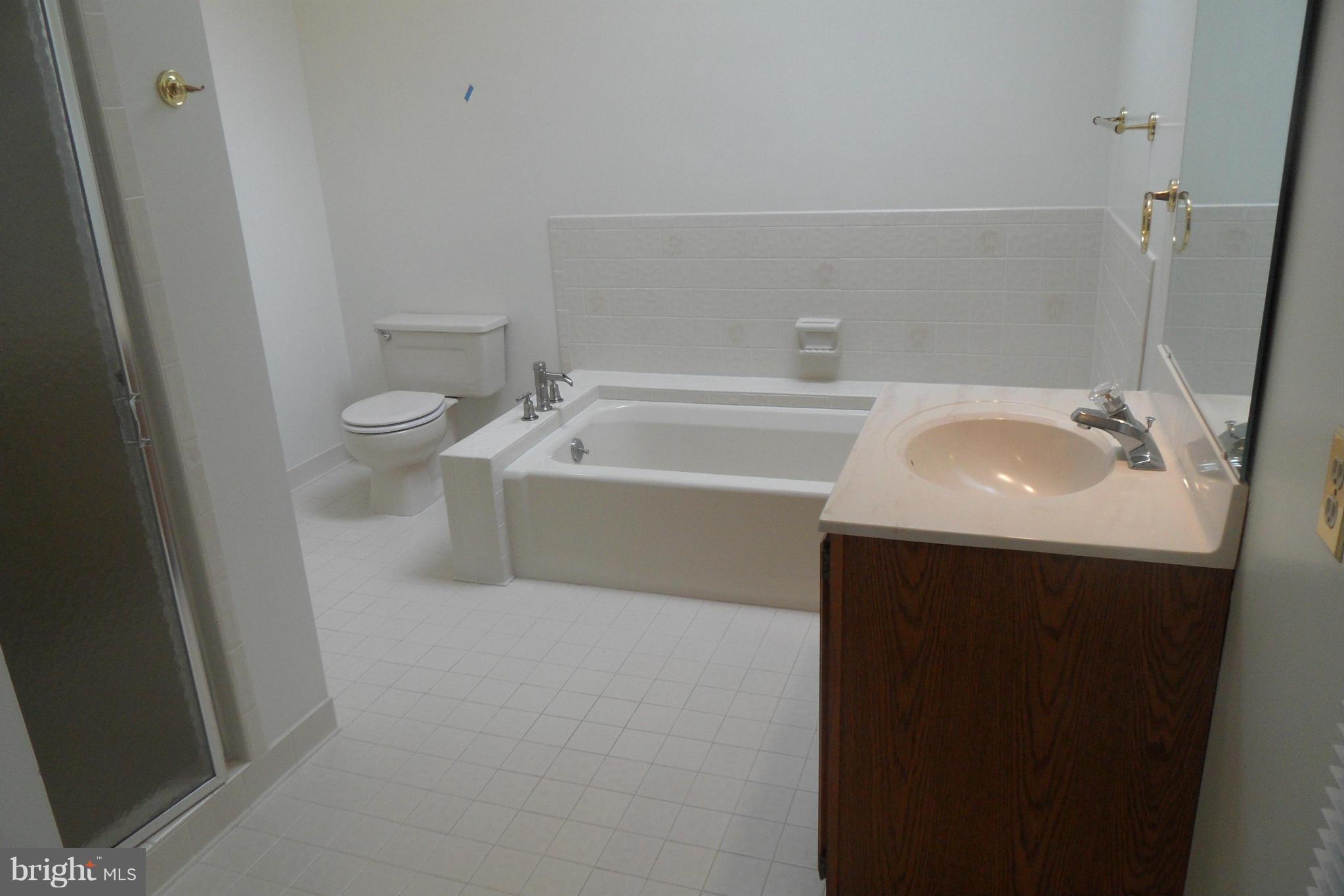 8233 Honeysuckle Road Manassas, VA 20112 - Photo 10 of 17 Bath (Master)