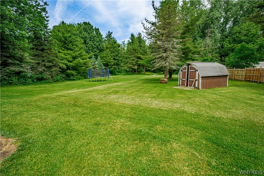 9257 Coleman Road Somerset, NY 14012 - Photo 24 of 24 Back yard