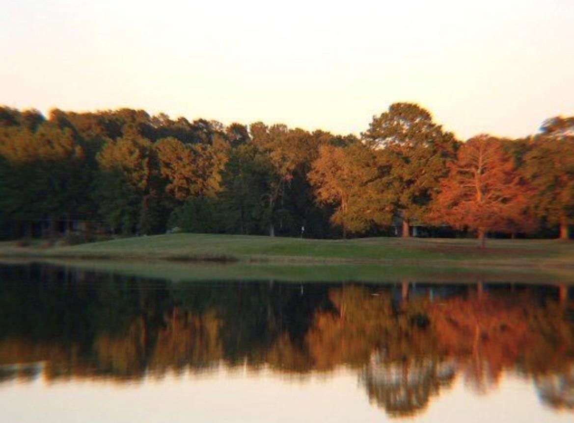 Lot 16 Long Iron Trinity, TX 75862 - Photo 15 of 30 a view of a lake