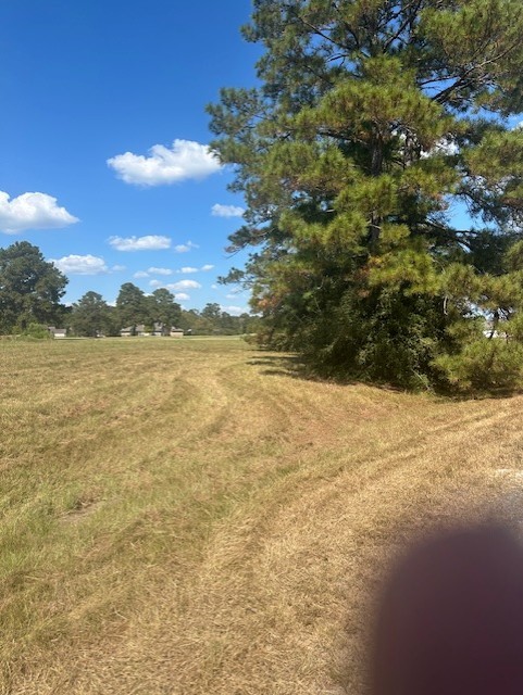 Lot 16 Long Iron Trinity, TX 75862 - Photo 25 of 30 a view of an ocean and beach