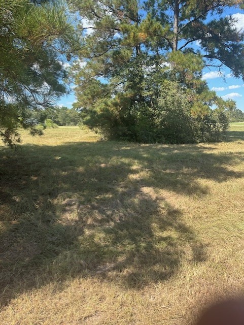 Lot 16 Long Iron Trinity, TX 75862 - Photo 26 of 30 a view of yard with green space