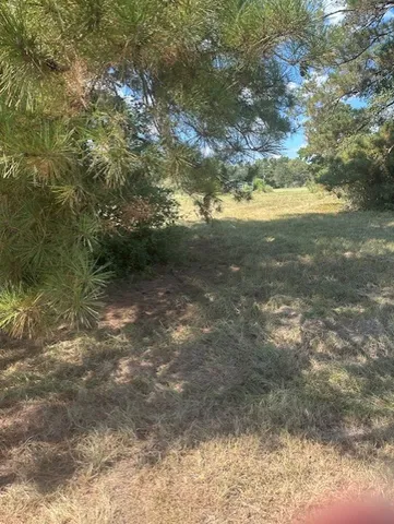 a view of a yard with a tree