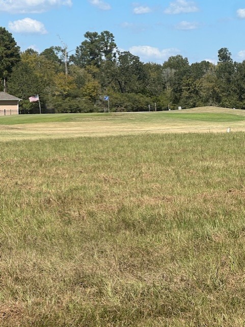 Lot 16 Long Iron Trinity, TX 75862 - Photo 28 of 30 a view of an ocean beach