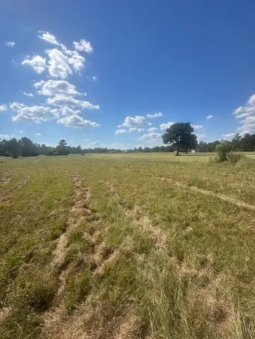 $8,000 | Lot 16 Long Iron, Trinity, TX 75862