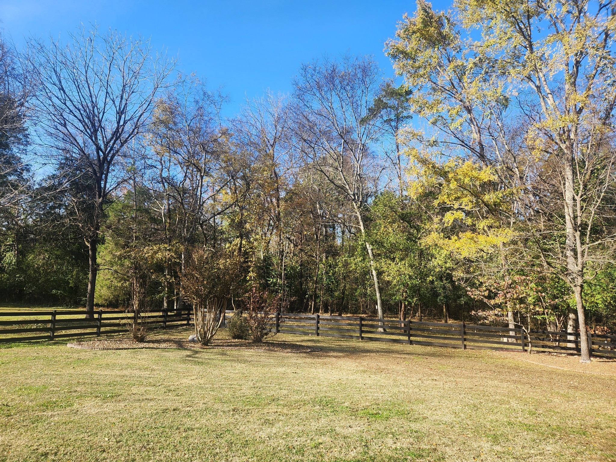 238 Ridgewater Way Mount Juliet, TN 37122 - Photo 3 of 67 a view of a swimming pool with trees in the background