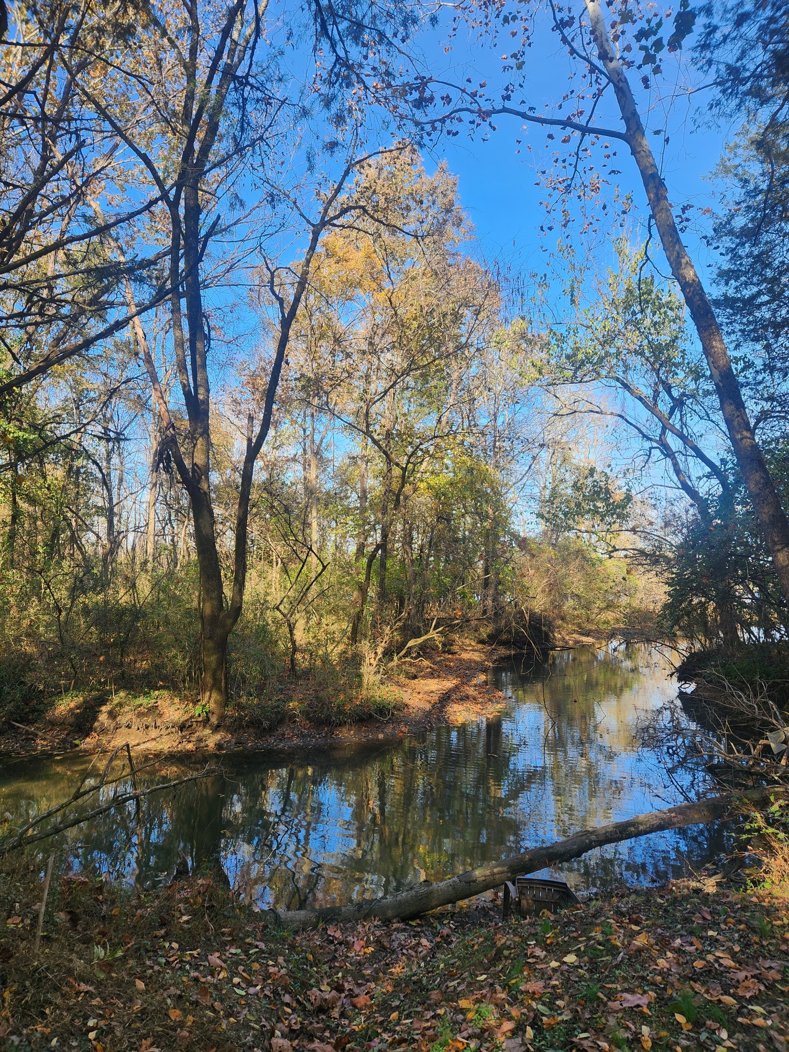 238 Ridgewater Way Mount Juliet, TN 37122 - Photo 5 of 67