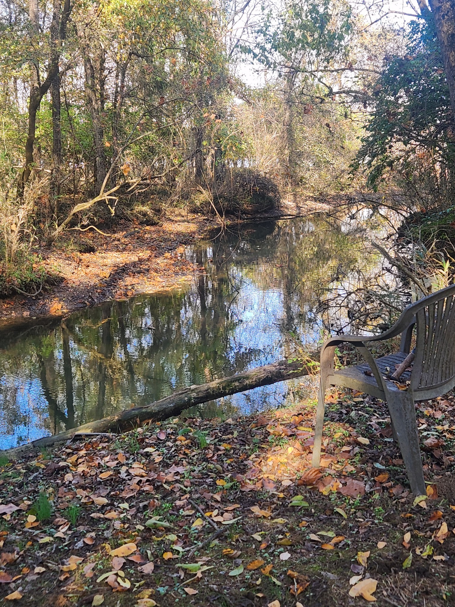 238 Ridgewater Way Mount Juliet, TN 37122 - Photo 54 of 67 a backyard of a house with lots of green space