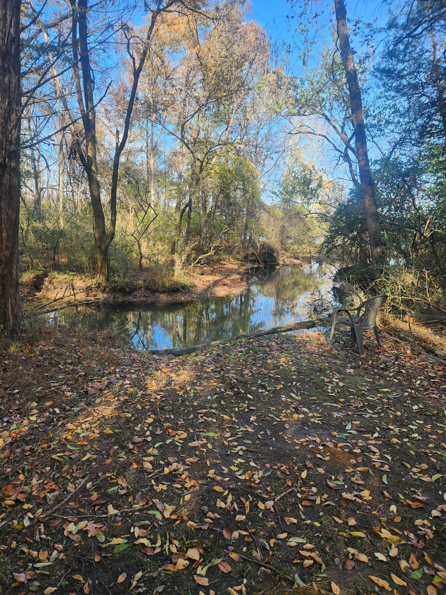 238 Ridgewater Way Mount Juliet, TN 37122 - Photo 56 of 67