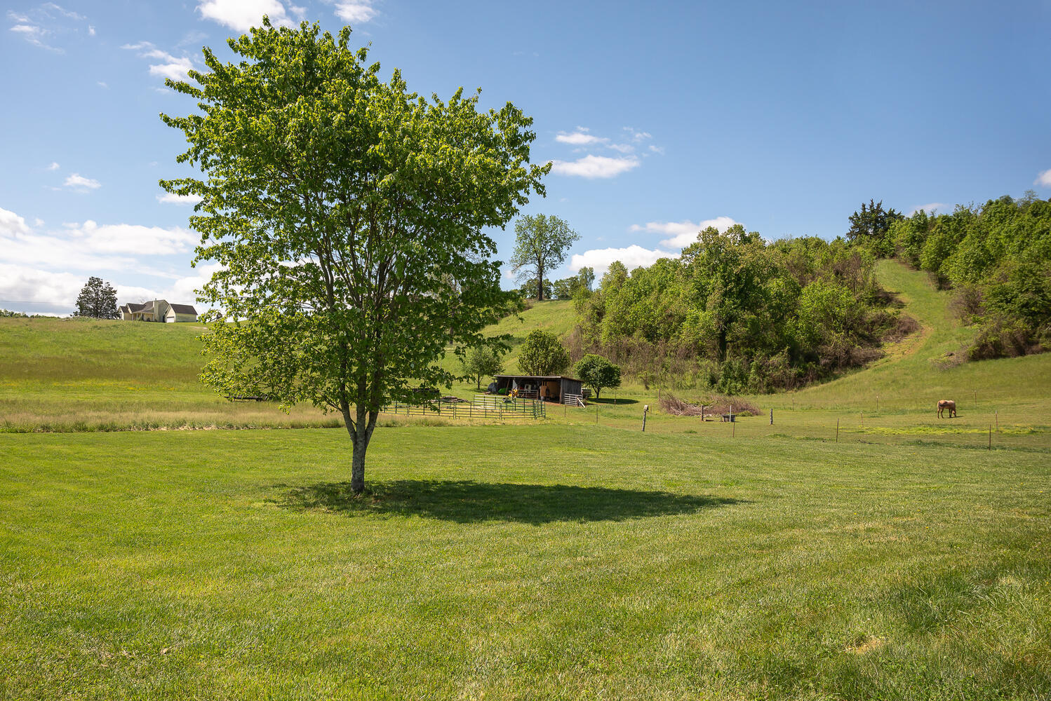 335 New Corinth Road Rutledge, TN 37861 - Photo 2 of 23 Lower Acreage View