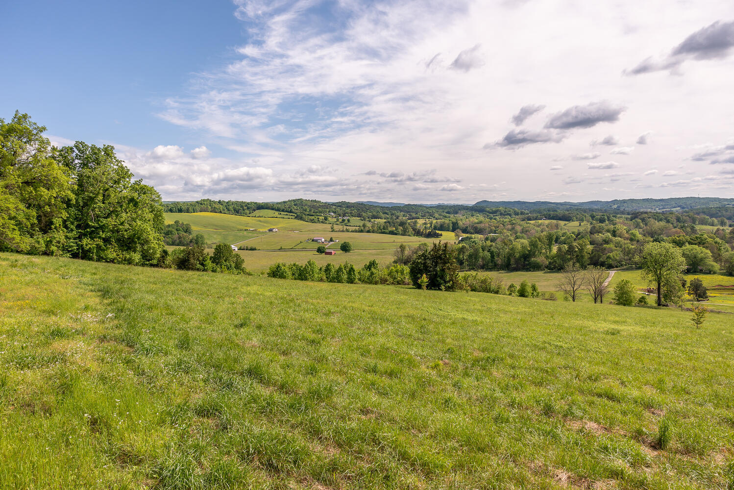 335 New Corinth Road Rutledge, TN 37861 - Photo 12 of 23 Upper Property View