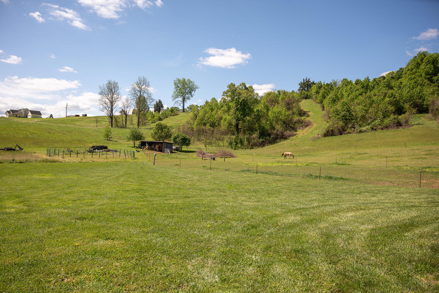 335 New Corinth Road Rutledge, TN 37861 - Photo 13 of 23 Lower Property View