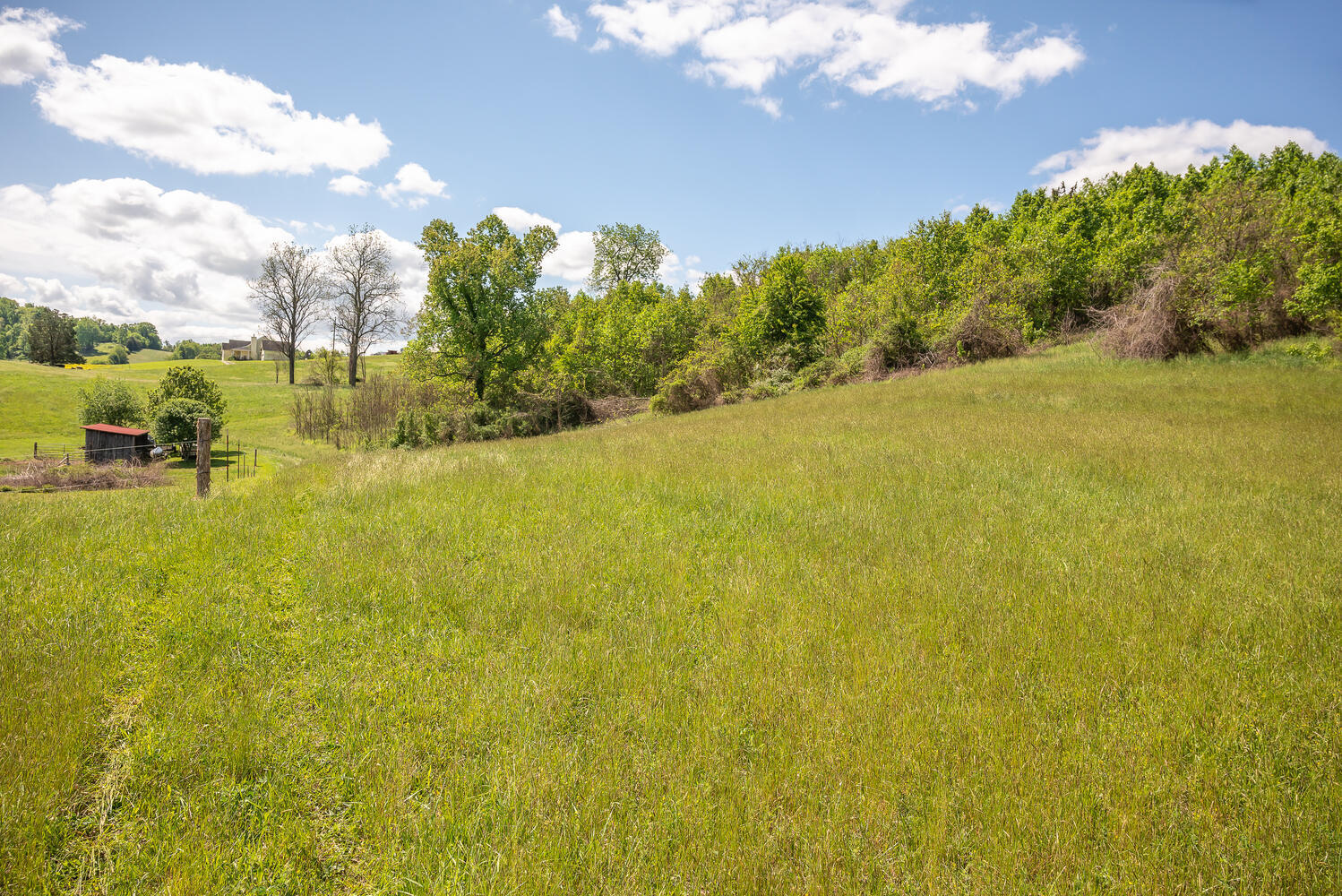 335 New Corinth Road Rutledge, TN 37861 - Photo 17 of 23 Pole Barn from Road