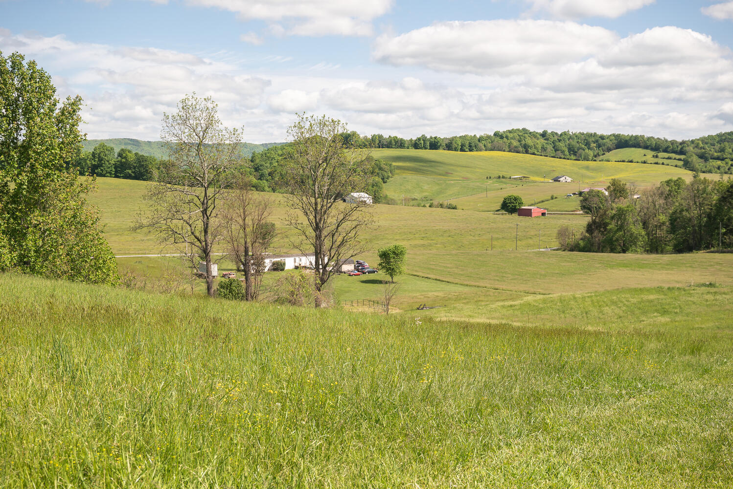 335 New Corinth Road Rutledge, TN 37861 - Photo 18 of 23 View from Side of Property