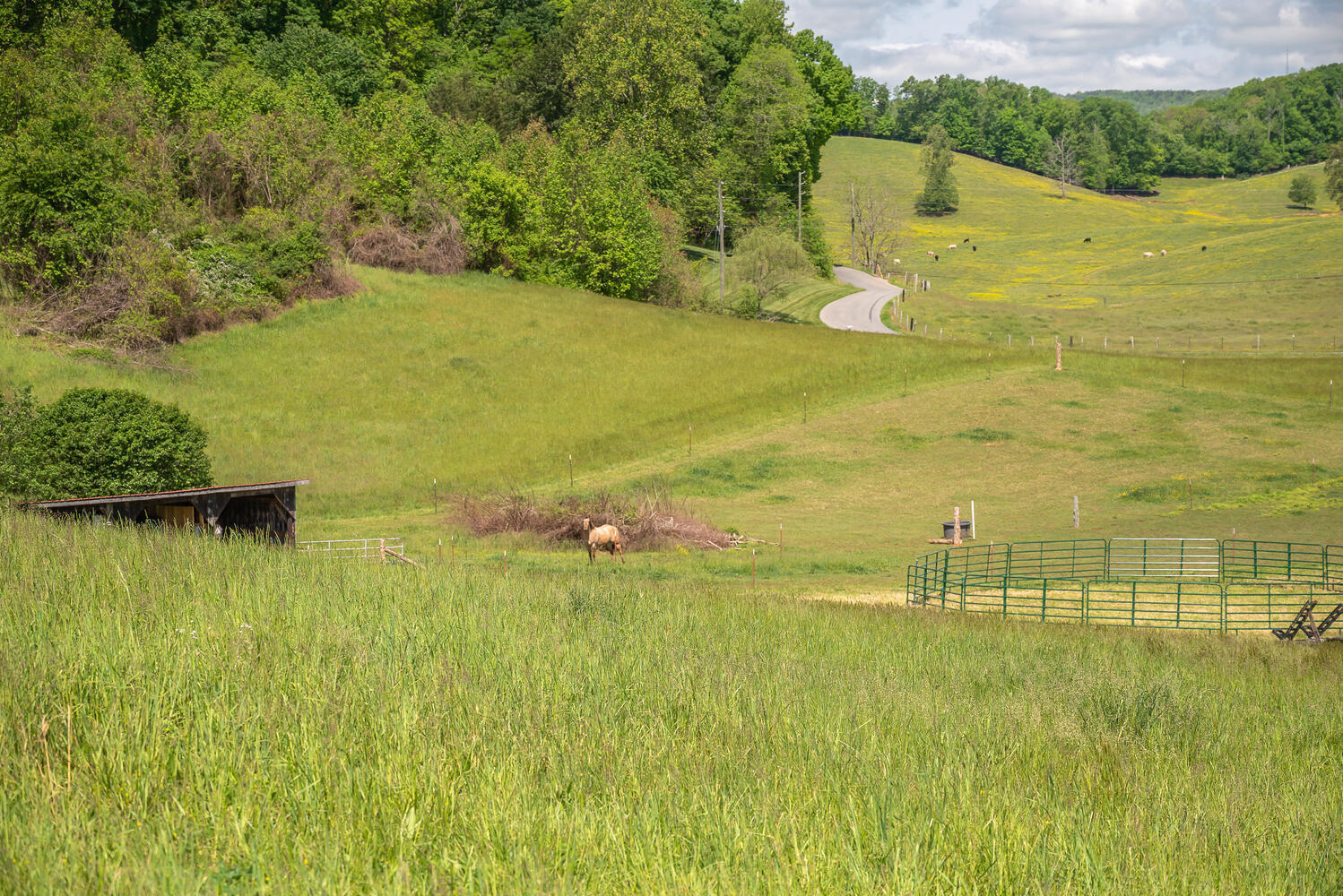 335 New Corinth Road Rutledge, TN 37861 - Photo 19 of 23 View from Side of Property