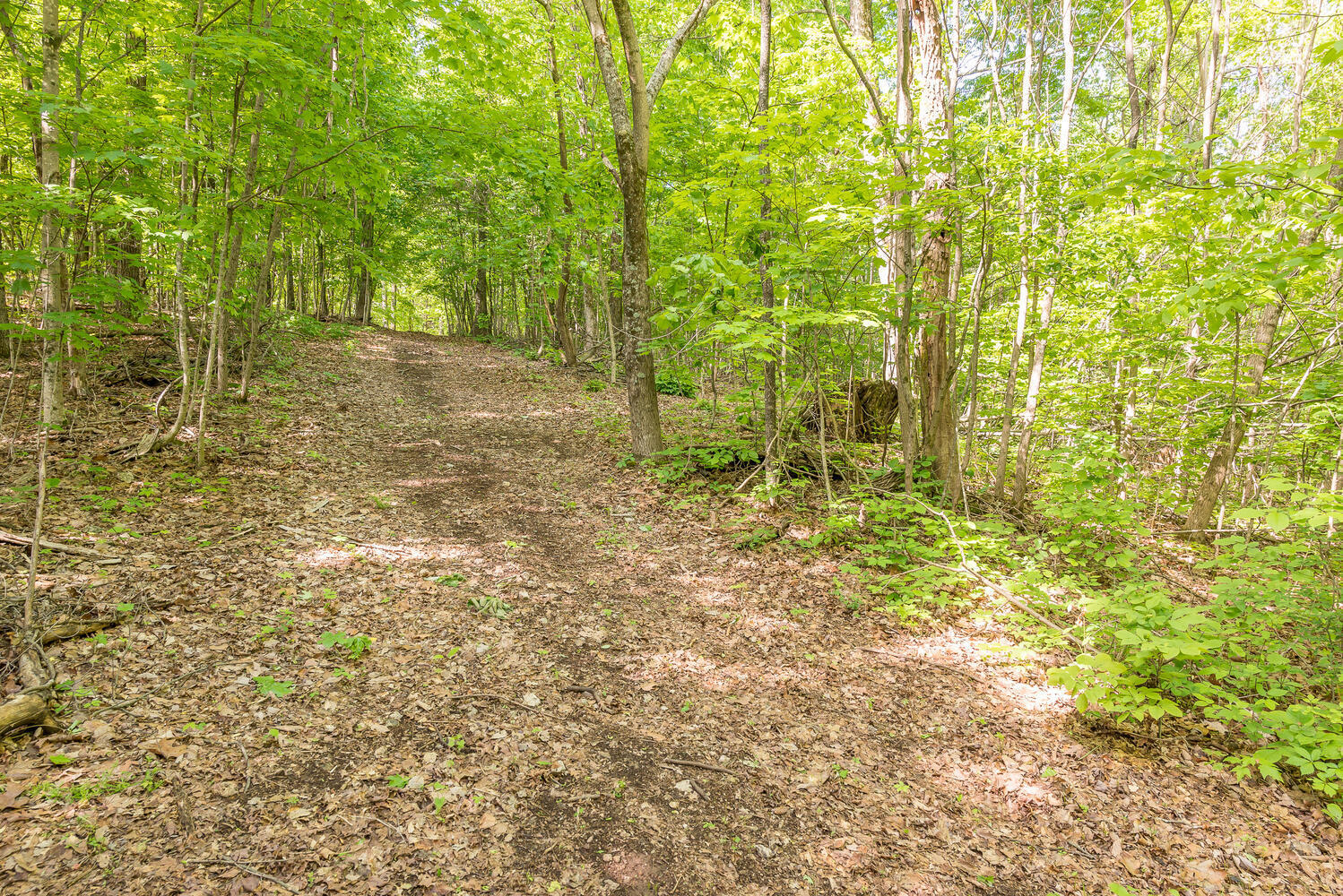 335 New Corinth Road Rutledge, TN 37861 - Photo 6 of 23 Wide Navigable Pathways