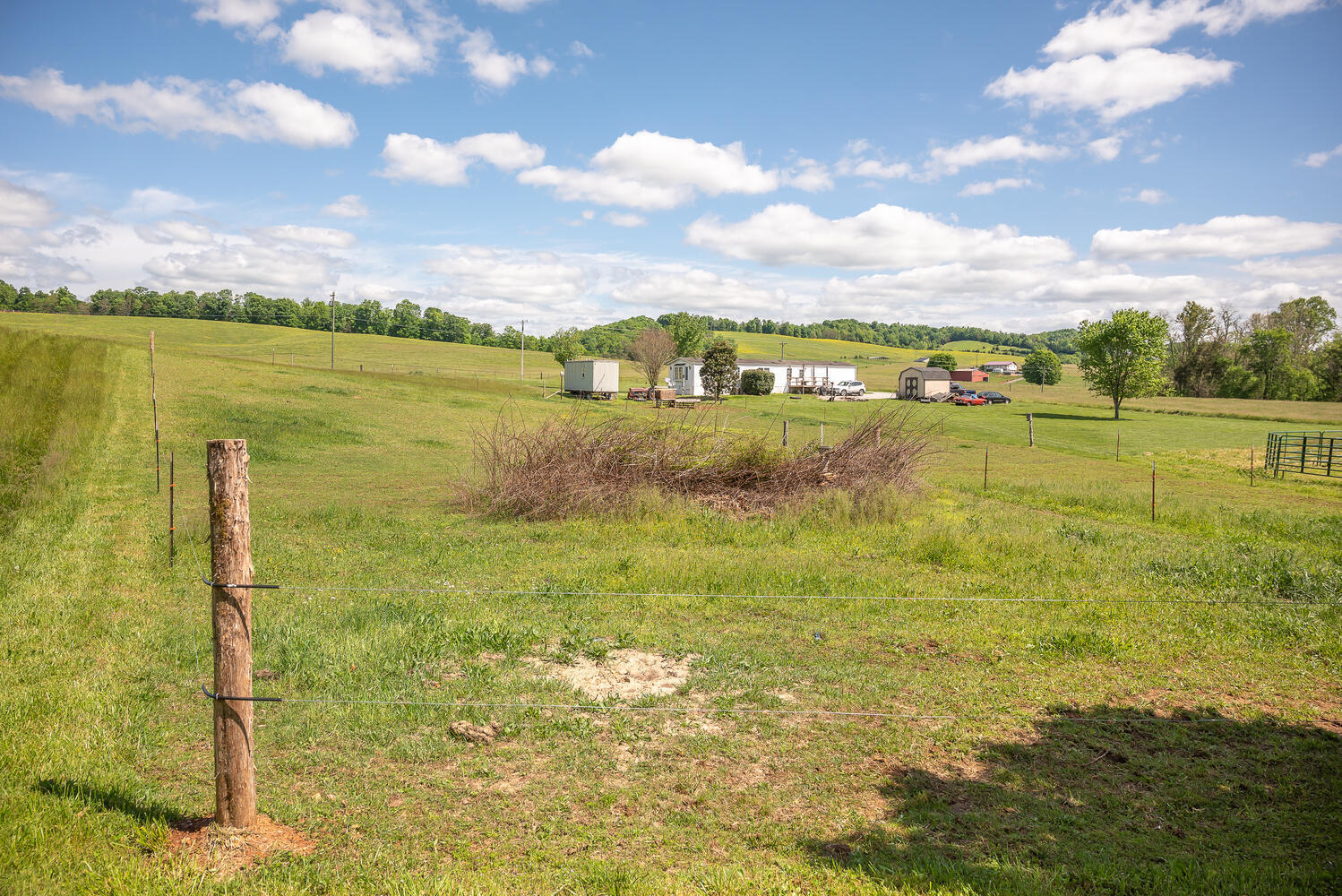 335 New Corinth Road Rutledge, TN 37861 - Photo 9 of 23 View from Pole Barn To Road
