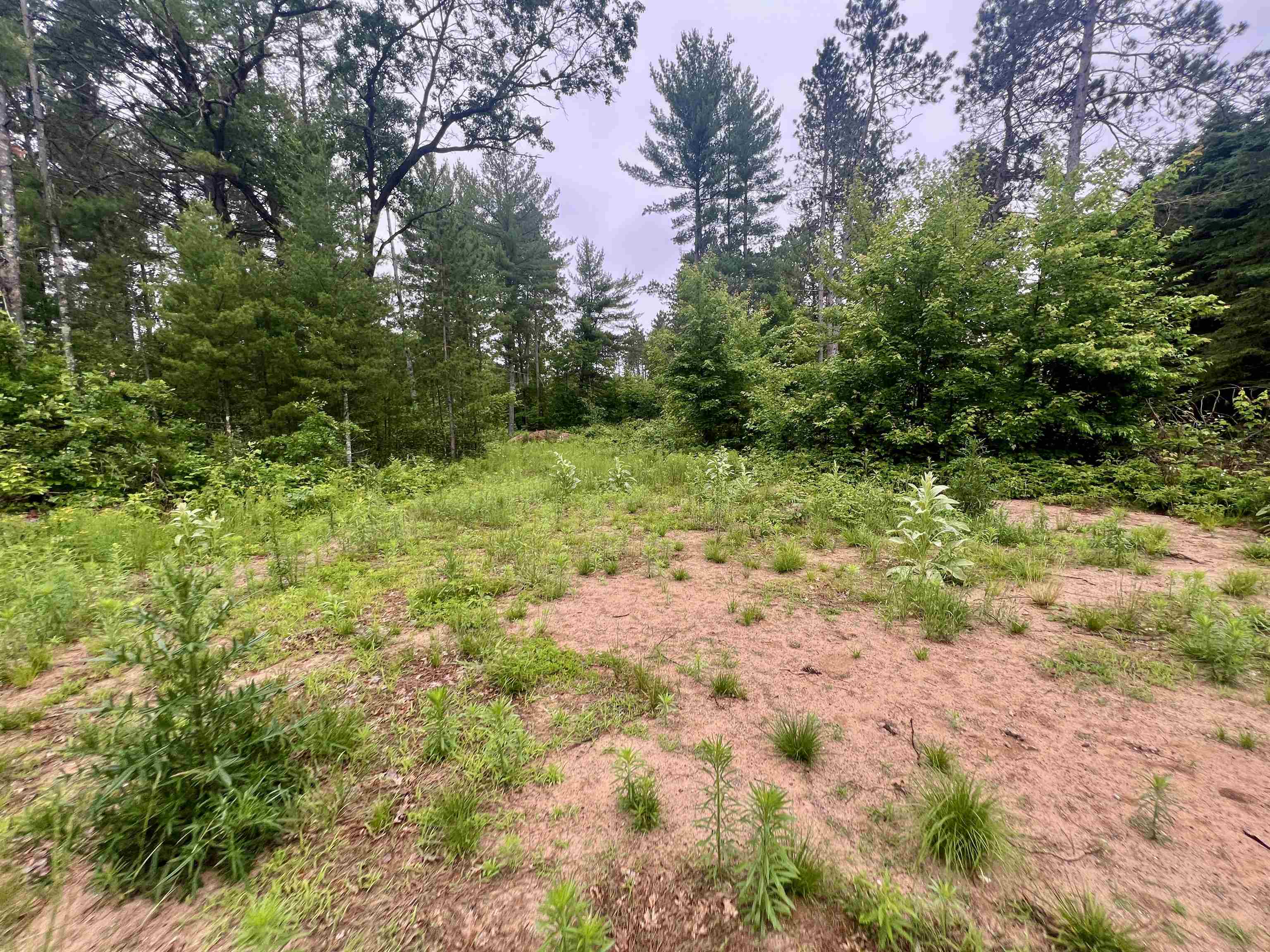 W8801 Moonshine Hill Road Crivitz, WI 54114 - Photo 6 of 39