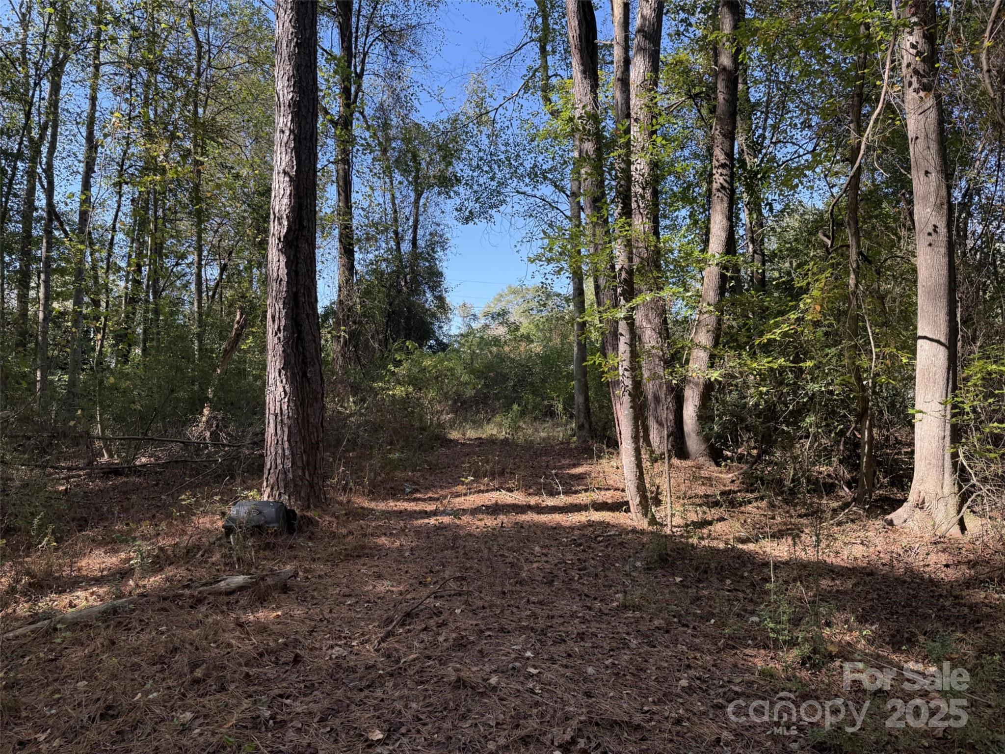 0 Short Street Morven, NC 28119 - Photo 2 of 6 a view of outdoor space with trees