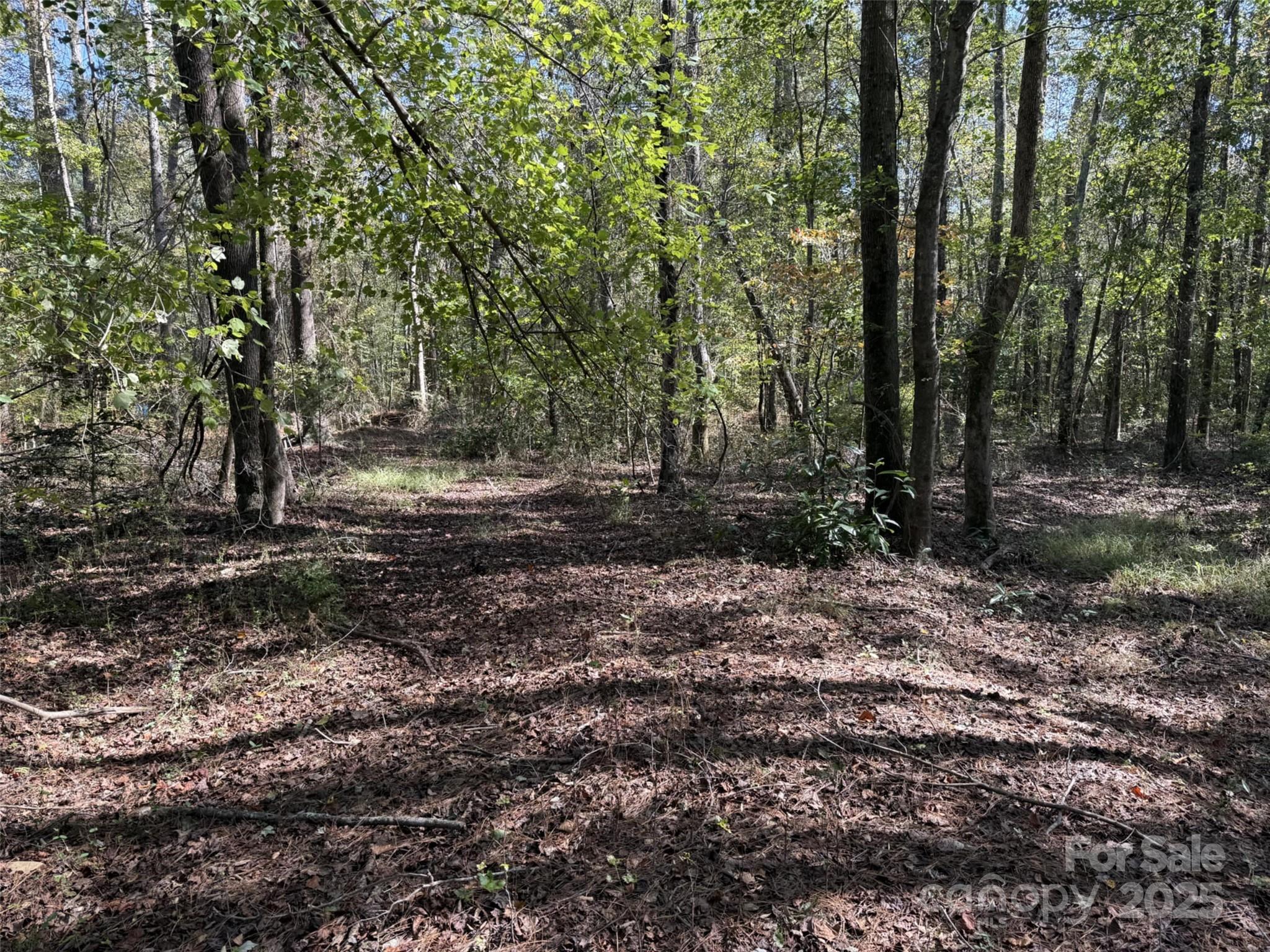 0 Short Street Morven, NC 28119 - Photo 4 of 6 a backyard of a house with lots of green space