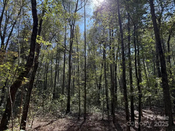 $50,000 | 0 Short Street, Morven, NC 28119