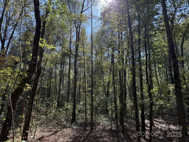 $50,000 | 0 Short Street, Morven, NC 28119