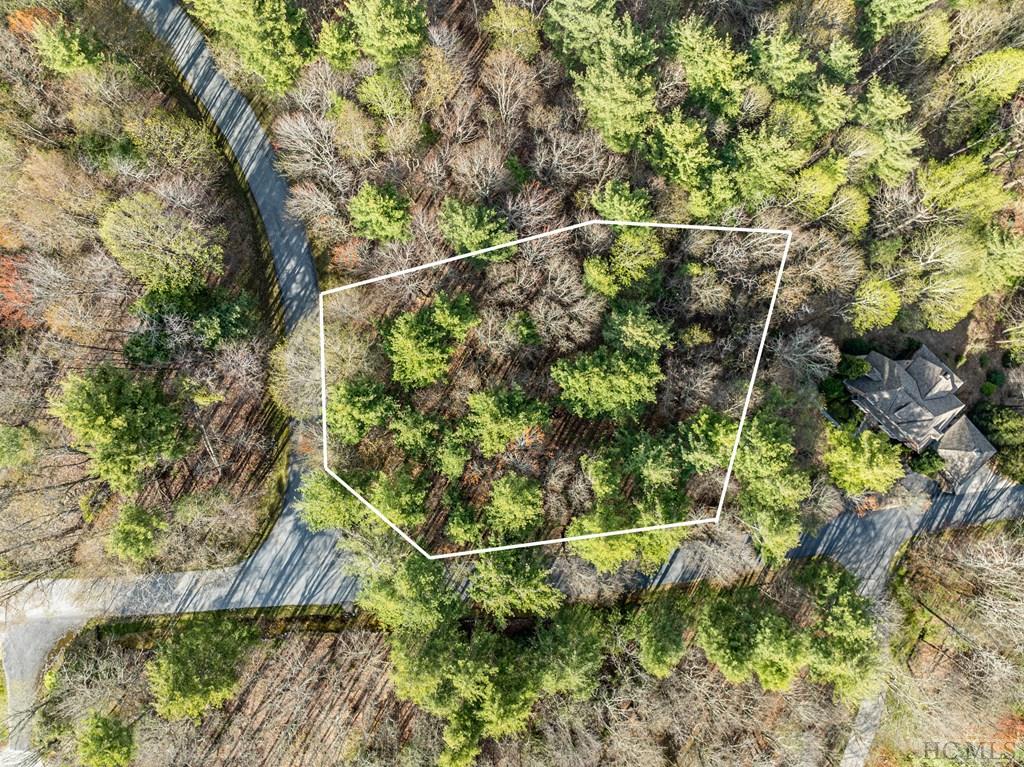 Lot 1 Center Ridge Road Sylva, NC 28779 - Photo 4 of 17 Gallery Image 4