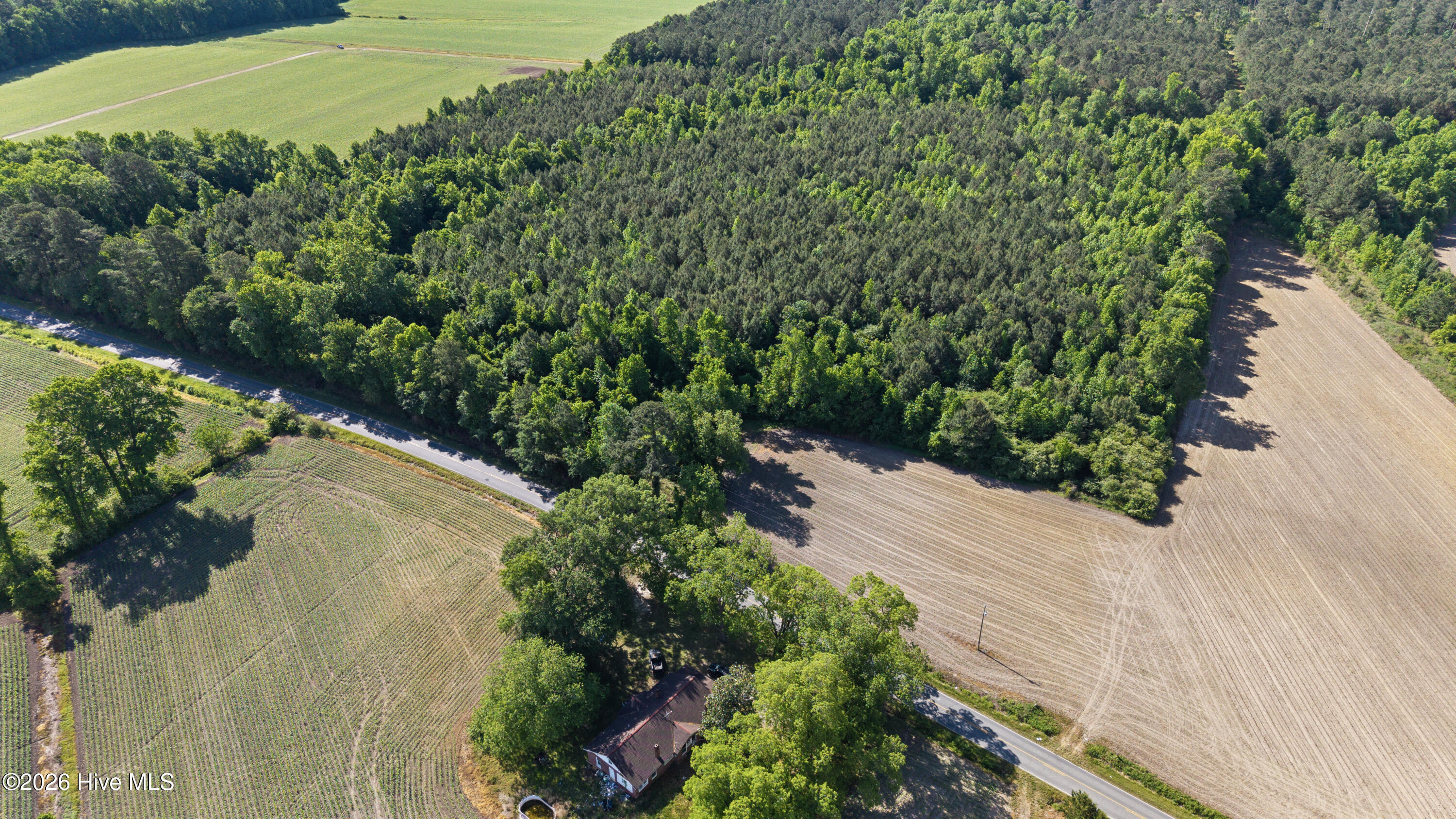 26-acres High School Road Teachey, NC 28464 - Photo 19 of 23 23-DJI_20260428095428_0092_D