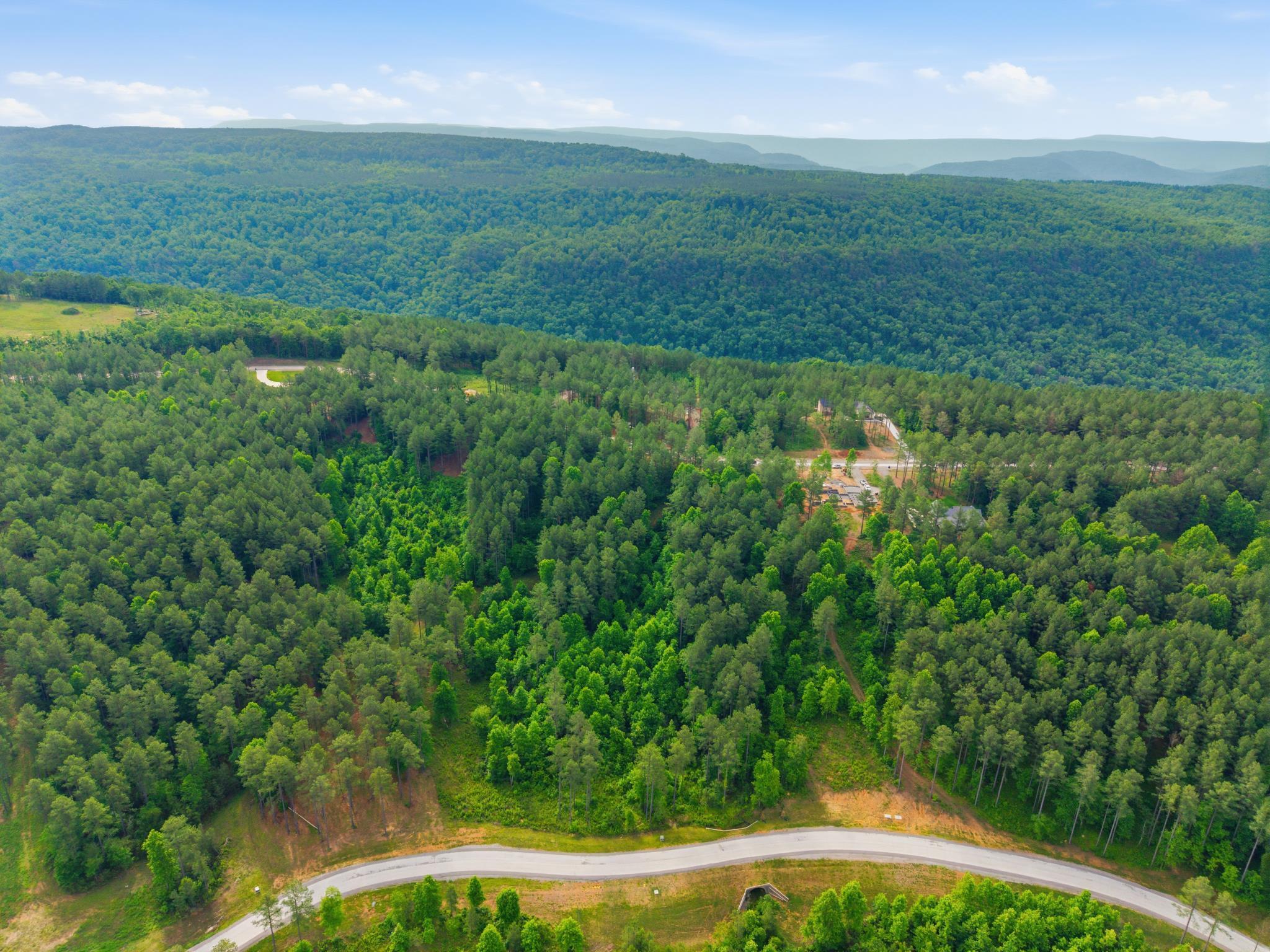 0 Birds Eye Way, Unit 1099 Guild, TN 37340 - Photo 11 of 15 1099 3