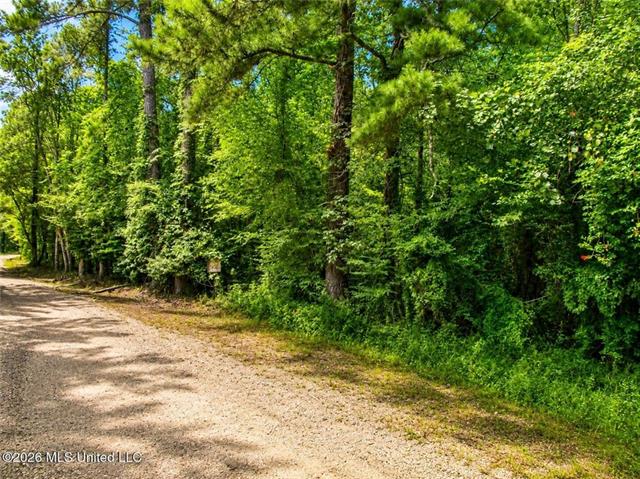 0 Belle Gardner Road Amite, LA 70422 - Photo 1 of 7